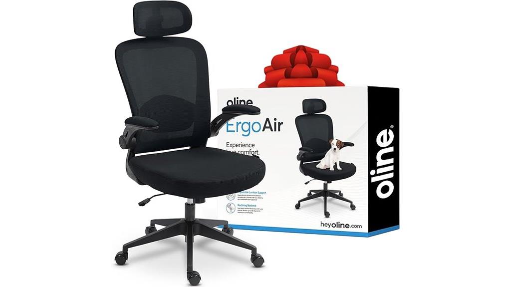 adjustable lumbar flip armchair