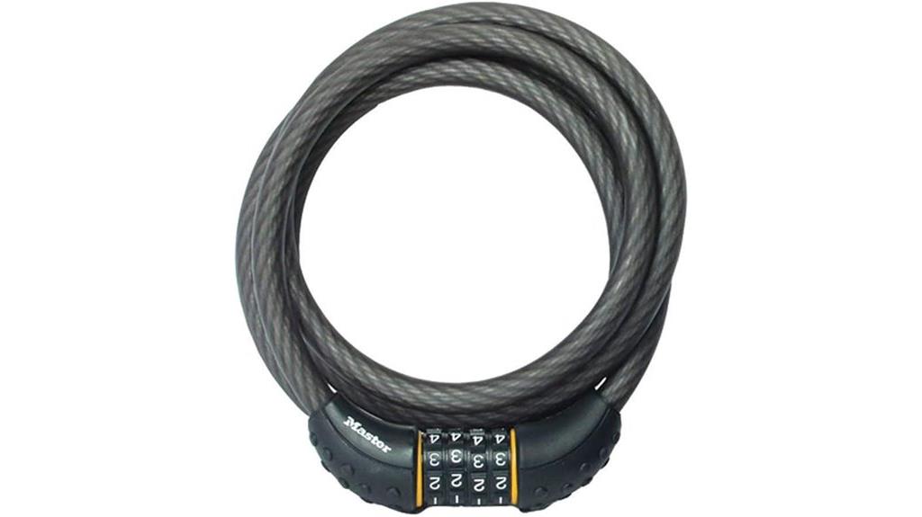 customizable 6 ft black cable