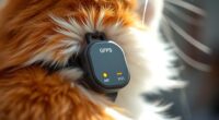 top pet gps trackers 2025
