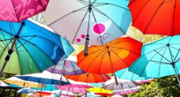 top uv protection umbrella