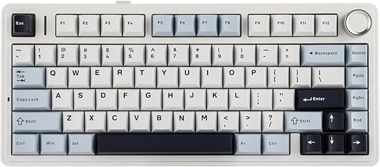 wireless rgb hot swappable keyboard