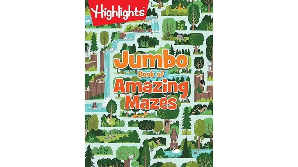 maze puzzle activity book