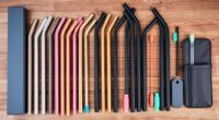 stylish sustainable stainless straw kits