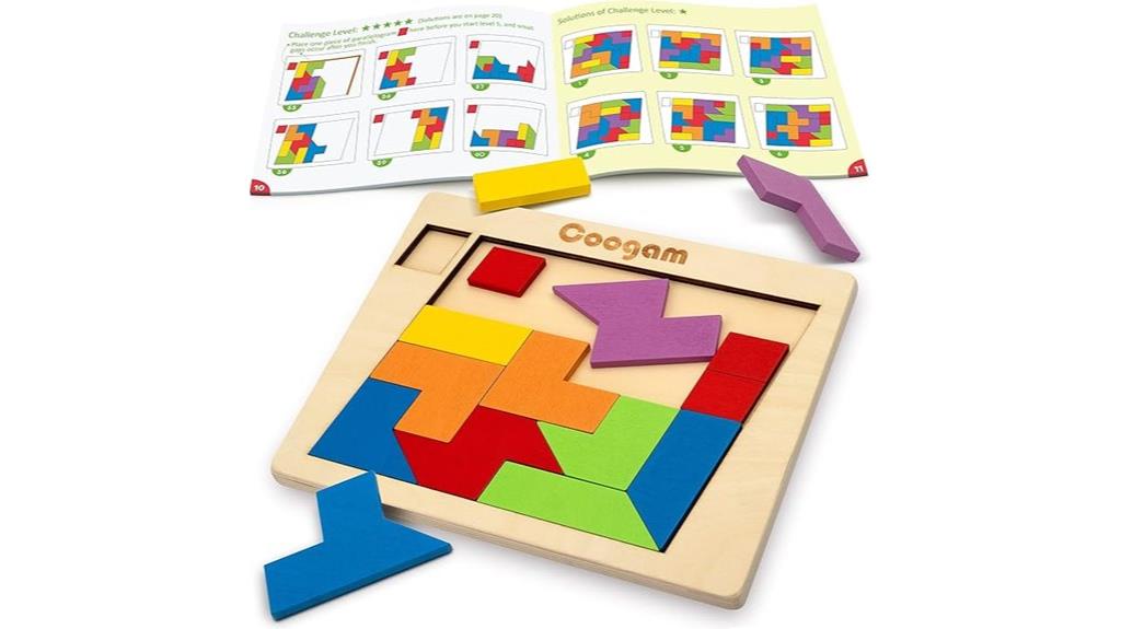 wooden geometric brain teasers