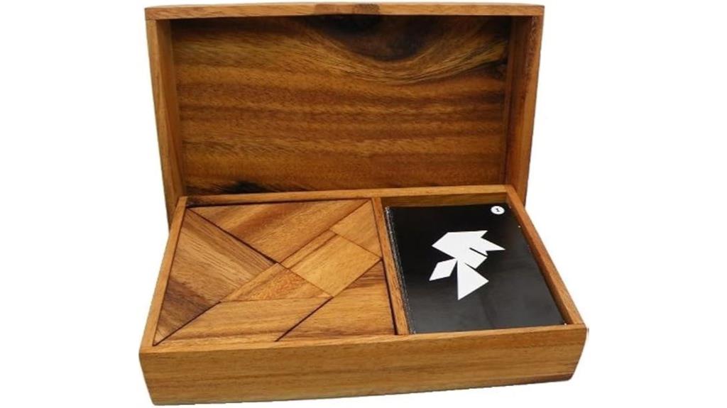 wooden logic puzzle set