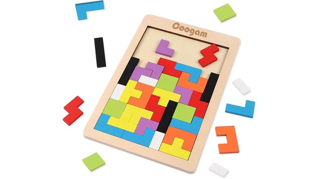 wooden puzzle brain teasers