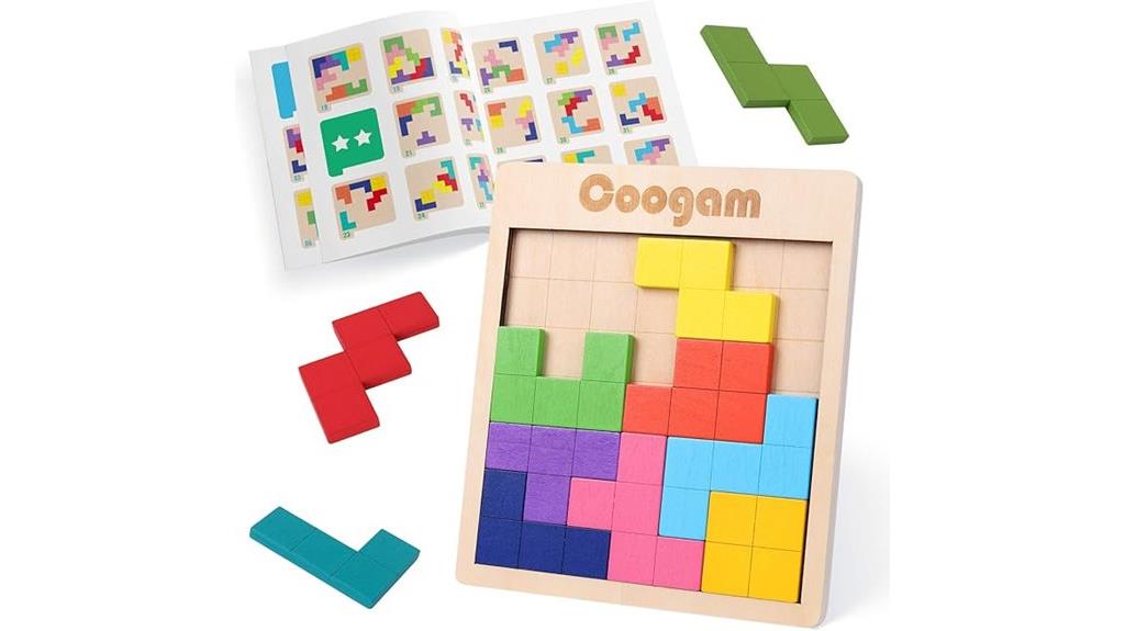 wooden puzzle challenge set