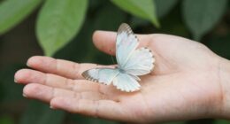 build resilience without numbness