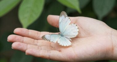 build resilience without numbness