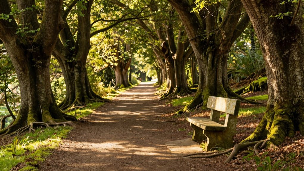 emotional resilience through detachment