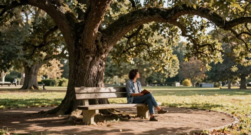 resilience through stoic wisdom