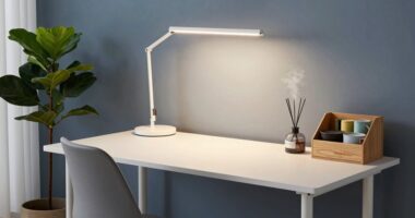 top 15 peaceful office essentials