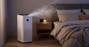 top bedroom air purifiers