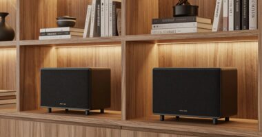 top bookshelf speakers 2026