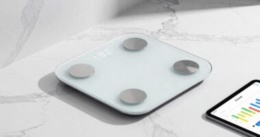 top wellness smart scales