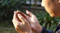 15 Best Meditative Prayer Beads in 2026