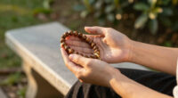 15 Best Meditative Prayer Beads in 2026