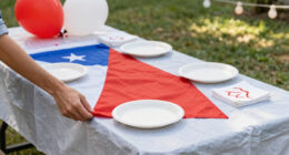 15 Best Patriotic Outdoor Party Supplies in 2026